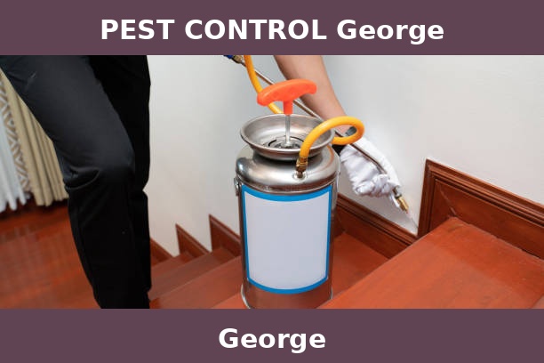 PEST CONTROL George
